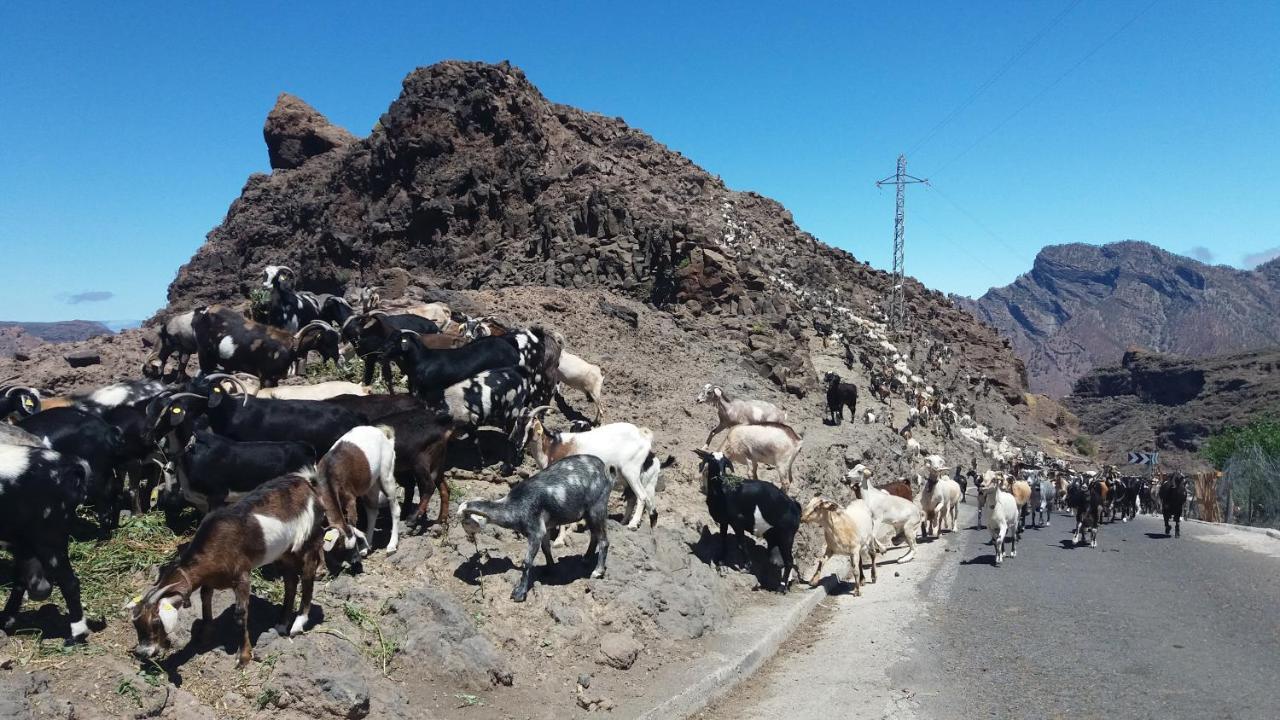 Casa Cueva Manuel Y Maria Villa El Juncal Eksteriør billede